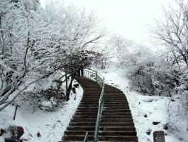Huangshan Photos